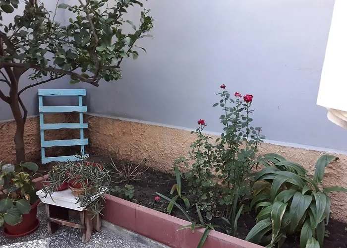 Da Arianna Porto Torres