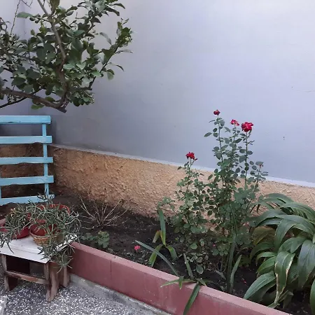 Da Arianna 托雷斯港